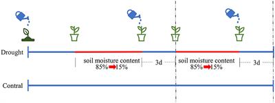 Screening and identification of drought tolerance of spring soybean at seedling stage under climate change